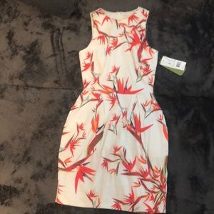 Nicole Miller Artelier floral pattern mini dress 4